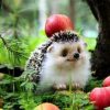 Cute Hedgehog Forest Apple Tree Diamond Painting Kit - DIY