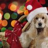 Dog Christmas Toy Diamond Painting Kit - DIY