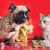 Dog And Cat Christmas Diamond Painting Kit - DIY