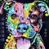 Pitbull Colorful Diamond Painting Kit - DIY