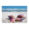 Rainbow Seashells Needlework Diamond Painting Kit - DIY