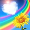 Rainbow Flowers Diamond Painting Kit - DIY Rainbow Flowers-7