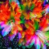 Rainbow Flowers Diamond Painting Kit - DIY Rainbow Flowers-14